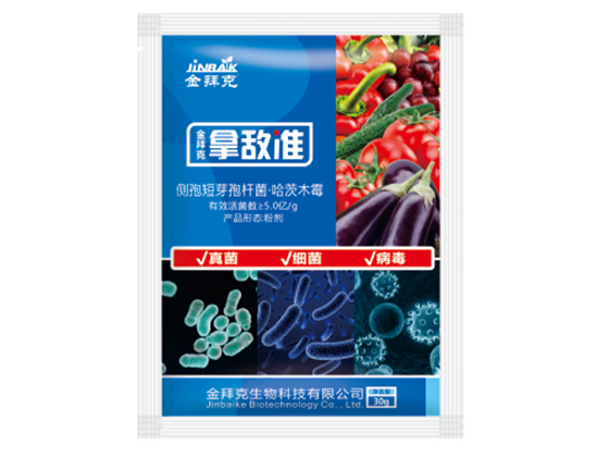 拿敵準